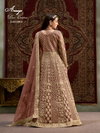 Aanaya Vol 209 By Dani Creation Net Gown With Dupatta